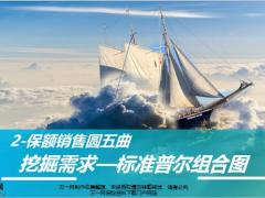 保险营销模压训练2挖掘需求标准普尔组合图29页.pptx