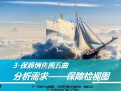 保险营销模压训练9分析需求保障检视20页.pptx
