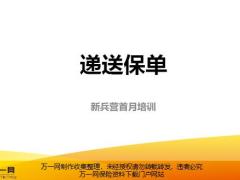 一張保單的構(gòu)成專業(yè)化遞送保單的好處六步驟含備注25頁.pptx