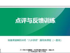 销售渠道兼职讲师3点评与反馈训练33页.pptx
