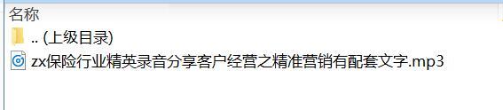 保险行业精英录音分享客户经营之精准营销有配套文字.zip