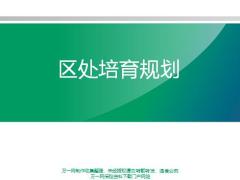 销售渠道兼职讲师8区处培育规划PPT含备注页72页.pptx