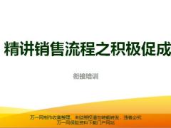 精講銷售流程之積極促成重要性方法技巧標(biāo)準(zhǔn)用語示范練習(xí)20頁.pptx