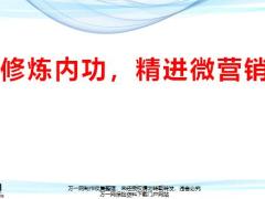 修炼内功精进微营销33页.pptx