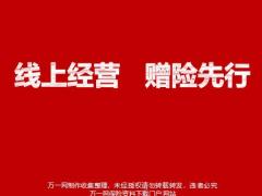 2020疫情下線上經(jīng)營高效轉(zhuǎn)化長期經(jīng)營分享25頁.pptx