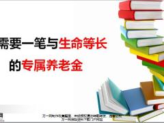 你需要一筆與生命等長(zhǎng)的專屬養(yǎng)老金12頁(yè).pptx