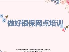 做好银保网点培训19页.pptx