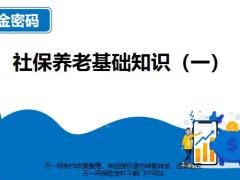 社保养老基础知识养老金规划社保商保区别38页.pptx
