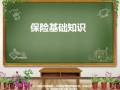 保险定义基础知识分红保险基础知识20页.pptx