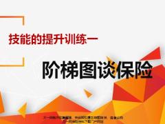 阶梯图谈保险技能的提升训练32页.pptx