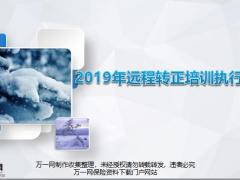 远程转正培训执行报告17页.pptx
