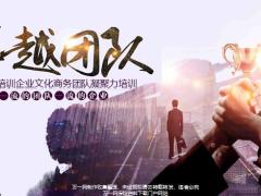 卓越团队员工培训企业文化商务团队凝聚力培训43页.pptx