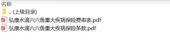 弘康水滴六六鱼重大疾病保险条款费率.zip