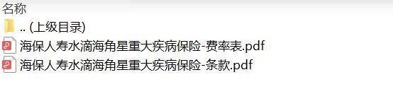 海保人寿水滴海角星重大疾病保险条款费率.zip
