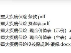 大家超惠保重大疾病保险条款费率现金价值投核保规则.zip