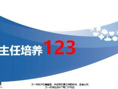 分享新主任养成123成果展示31页.pptx