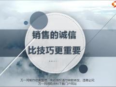 销售的诚信比技巧更重要13页.pptx
