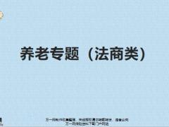 養(yǎng)老專題法商類22頁.pptx