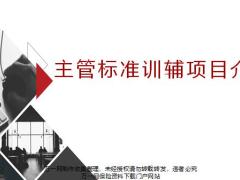 主管标准训辅简介线上辅导模式推动举措33页.pptx