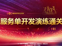 服务单开发流程演练通关24页.pptx