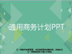 通用商務(wù)計劃PPT模板30頁.pptx