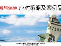 债务与保险应对策略及案例品鉴18页.pptx