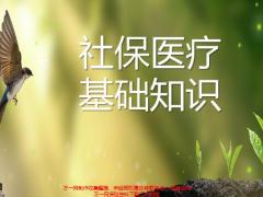 社保医疗基础知识23页.pptx
