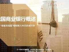 我国商业银行概述银保新人90天养成计划概述组织架构业务经营变化趋势53页.pptx