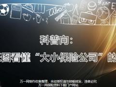 一張圖看懂大小保險(xiǎn)公司的秘密17頁.pptx