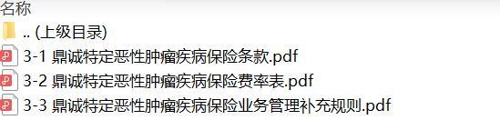鼎诚特定恶性肿瘤疾病保险条款费率业务管理补充规则.rar