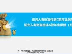 阳光人寿财富传家C财富相伴A产品背景责任运营规则案例演示44页.pptx