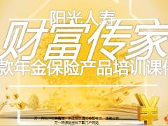 阳光人寿财富传家C款年金保险产品运营案例篇22页.pptx