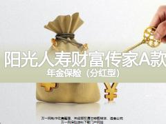 阳光人寿财富传家A款年金保险分红型产品背景责任运营规则案例演示31页.pptx