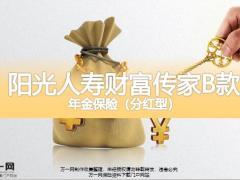 阳光人寿财富传家B款年金保险分红型产品背景责任运营规则案例演示29页.pptx