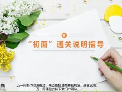 初面通关说明指导15页.pptx