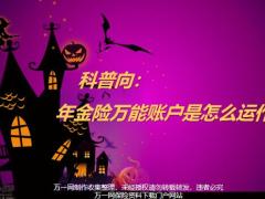年金险万能账户是怎么运作的19页.pptx