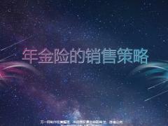 年金险的销售策略24页.pptx
