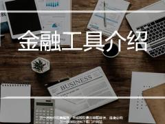 金融工具定義種類銀行存款貸款18頁.pptx