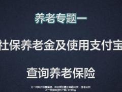 社保养老金及使用支付宝查询养老保险25页.pptx