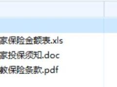 北京人寿京福传教保险条款费率投标须知.rar