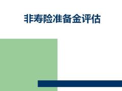 非寿险准备金评估78页.pptx