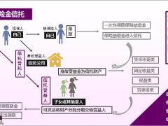 保险金信托的设立流程主要功能意义设立须知23页.pptx