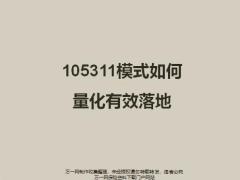 105311模式如何量化有效落地14頁.pptx