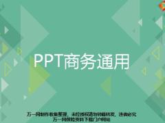 商務(wù)通用PPT模板31頁.pptx