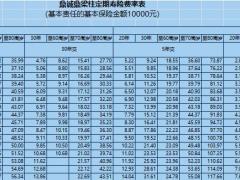 鼎诚鼎梁柱定期寿险条款费率表.xlsx