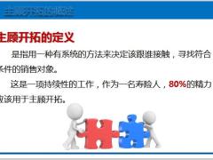 专业化销售流程概述重要性操作29页.pptx