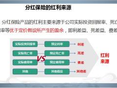 分红保险的概念基础知识实例展示18页.pptx