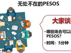 运用PESOS进行销售辅导演练含备注18页.pptx