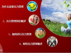 压力管理知识概述58页.pptx