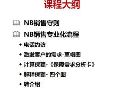 NB销售守则专业化流程含备注32页.pptx